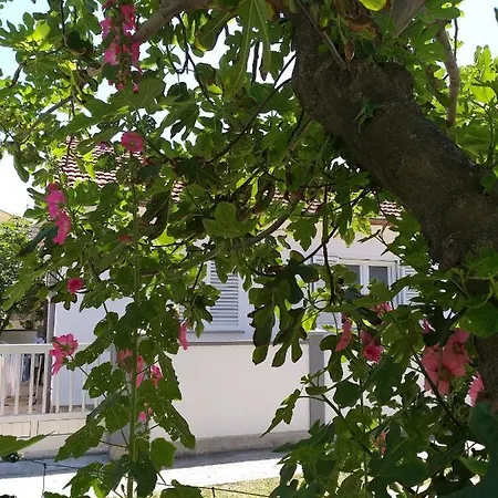 Apartamento Barbara Nin