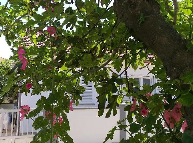 דירה Barbara נין