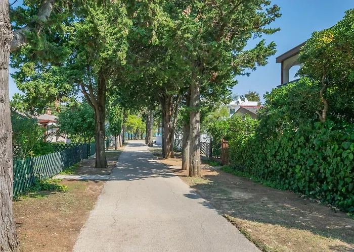 דירה Barbara נין